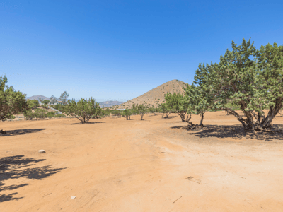 2727 Sache Street, Acton, CA