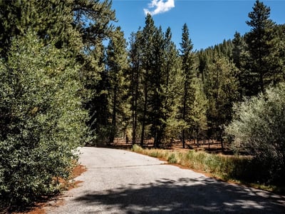 108 Ginger Quill Lane, Breckenridge, CO