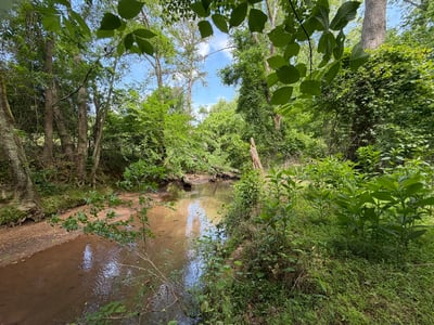 Lush greenery surrounds this peaceful creek, offering a natural retreat and prime opportunity for outdoor activities.