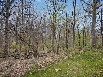 7151 Steeplechase Way, 41, Lansing, MI