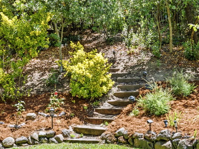 507 Raven Place, Clayton, CA