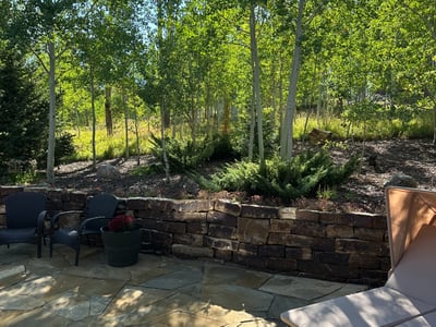 240 Game Trail Road, Silverthorne, CO