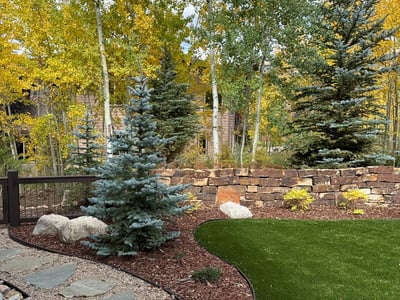 240 Game Trail Road, Silverthorne, CO