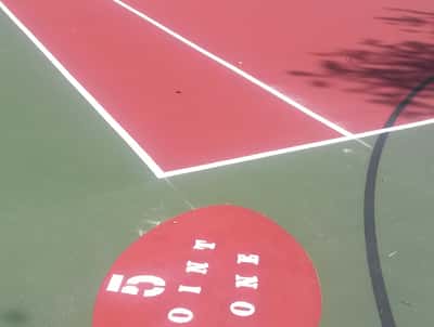 Discover a unique property featuring a fully-equipped basketball court ideal for active living and recreation.