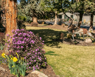 10258 Sundance Ridge Loop, Redmond, OR
