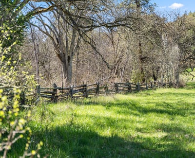 Buckhorn Road #1000, Ashland, OR