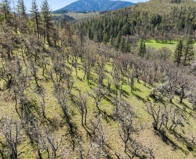 Buckhorn Road #1000, Ashland, OR