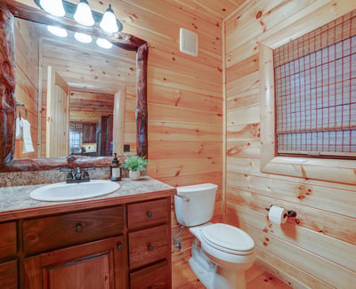 138 Lucius Lane, Cherry Log, GA