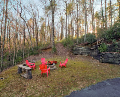 138 Lucius Lane, Cherry Log, GA
