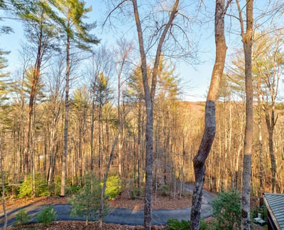 138 Lucius Lane, Cherry Log, GA