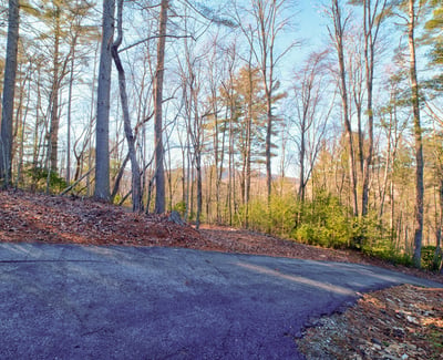 138 Lucius Lane, Cherry Log, GA