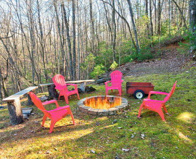 138 Lucius Lane, Cherry Log, GA