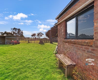 Spacious outdoor area with lush greenery and ample space, perfect for relaxation and outdoor activities.