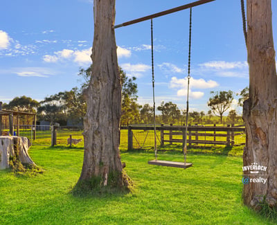 Expansive property featuring a relaxing swing, surrounded by lush greenery and open countryside views.
