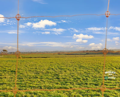 Expansive green fields under a bright sky, ideal for agricultural development or recreational living.