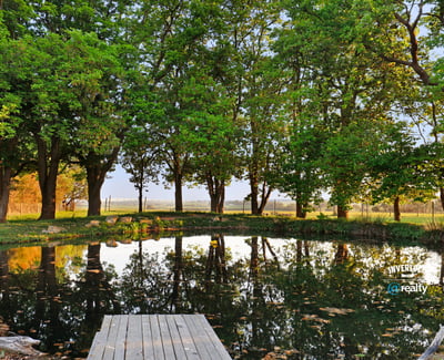 Scenic property featuring a tranquil pond surrounded by mature trees and vibrant greenery. Perfect for outdoor enthusiasts.