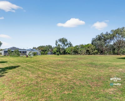 Spacious grassy lot with mature trees, perfect for building your dream home or creating a recreational haven.