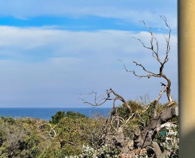 Enjoy breathtaking ocean views framed by unique coastal vegetation from this scenic hillside setting.