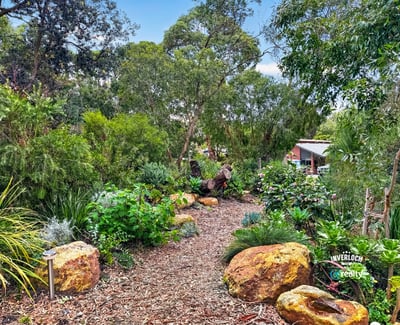 Discover a lush, vibrant garden path featuring diverse flora and natural stone accents, perfect for nature lovers.