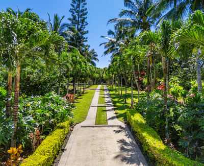 65 N Holokai Rd, Haiku, HI