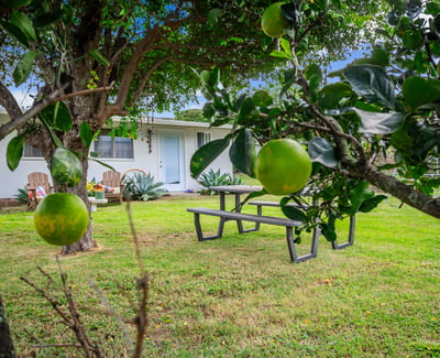 71 Kawananakoa Pl, Honolulu, HI