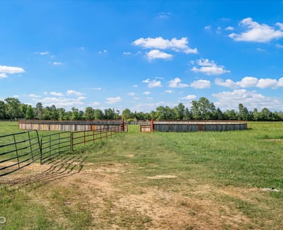160 Neely Camp Road, Sarepta, LA