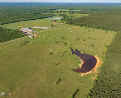 Spacious, picturesque land featuring open fields, a tranquil pond, and surrounding wooded areas, ideal for development.