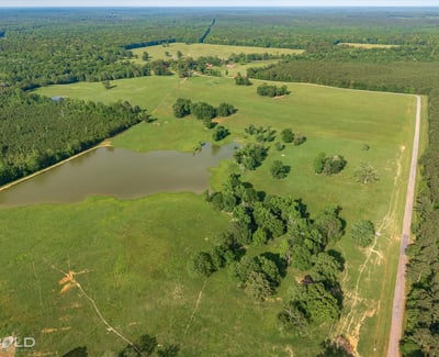 Spacious acreage featuring a picturesque pond, abundant greenery, and endless possibilities for development or leisure.