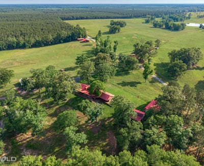 Sprawling ranch property with expansive greenery, scenic views, and multiple outbuildings nestled in nature.