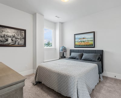 Bedroom with Walk-in Closet