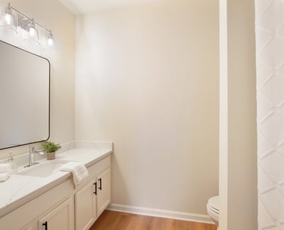 1955 Nocturne Drive, Unit #3204, Alpharetta, GA