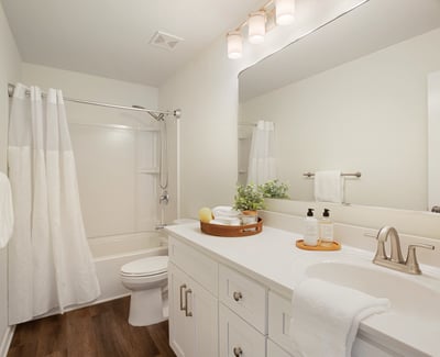 6728 Pierless Avenue, Sugar Hill, GA