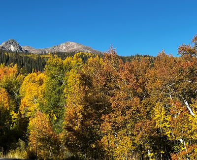 240 Game Trail Road, Silverthorne, CO