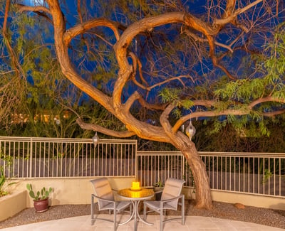Private seating nook under a mature tree with desert landscaping and ambient lighting, perfect for peaceful Scottsdale evenings outdoors.