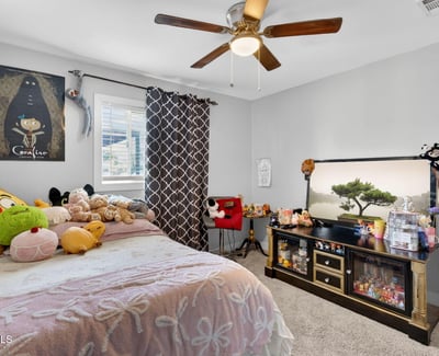 Cozy bedroom with plush carpeting, ceiling fan, and inviting layout, ideal for everyday comfort.