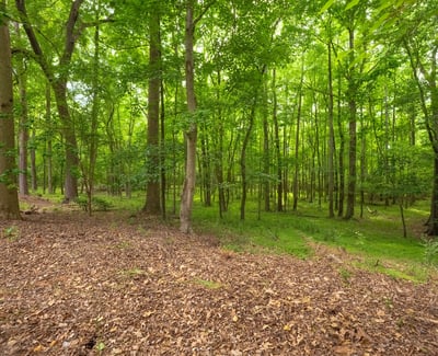 1800 Chestnut Lane, Matthews, NC