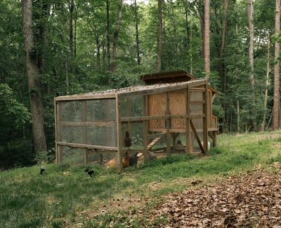 1800 Chestnut Lane, Matthews, NC