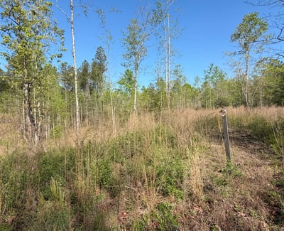 2125 Hwy 247, Belton, SC