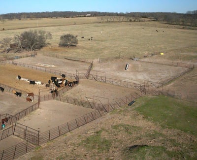 510 Duffield Rd, Stella, MO