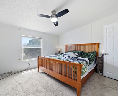 9075 Camino Del Sol Point, Fountain, CO