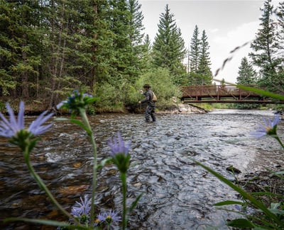 108 Ginger Quill Lane, Breckenridge, CO