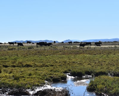 0 County Road 15.5, Blanca, CO