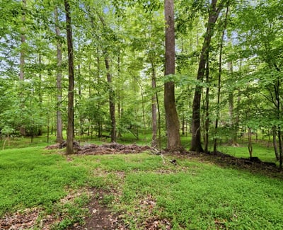 Secluded wooded lot offering abundant shade and natural beauty, perfect for building your dream home.