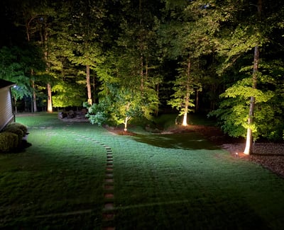 Discover a beautifully illuminated backyard featuring lush greenery and scenic pathways, perfect for evening gatherings.