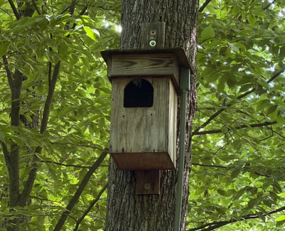 A truly special piece of the property s story: this barred owl nesting box has welcomed nesting owls almost every year for the past 16 years, with babies often making their spring debut. A webcam offers a front-row view of this quiet backyard tradition one more way this home feels connected to nature.