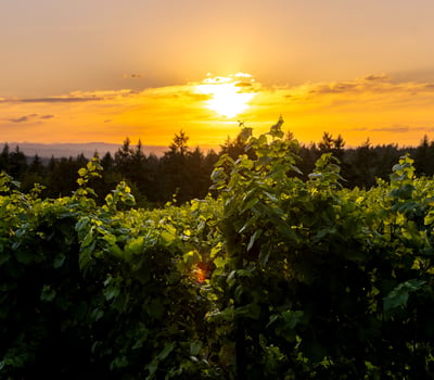 21510 S Wisteria Road, West Linn, OR