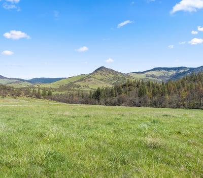 Buckhorn Road #1000, Ashland, OR