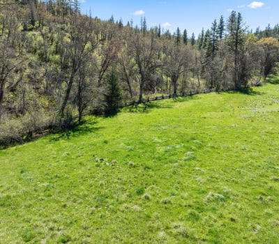 Buckhorn Road #1000, Ashland, OR