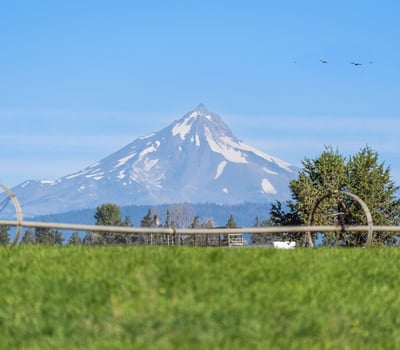 68405 Fryrear Road, Sisters, OR