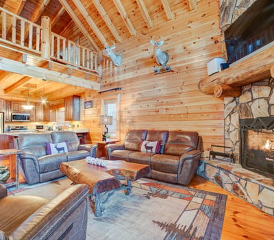 138 Lucius Lane, Cherry Log, GA